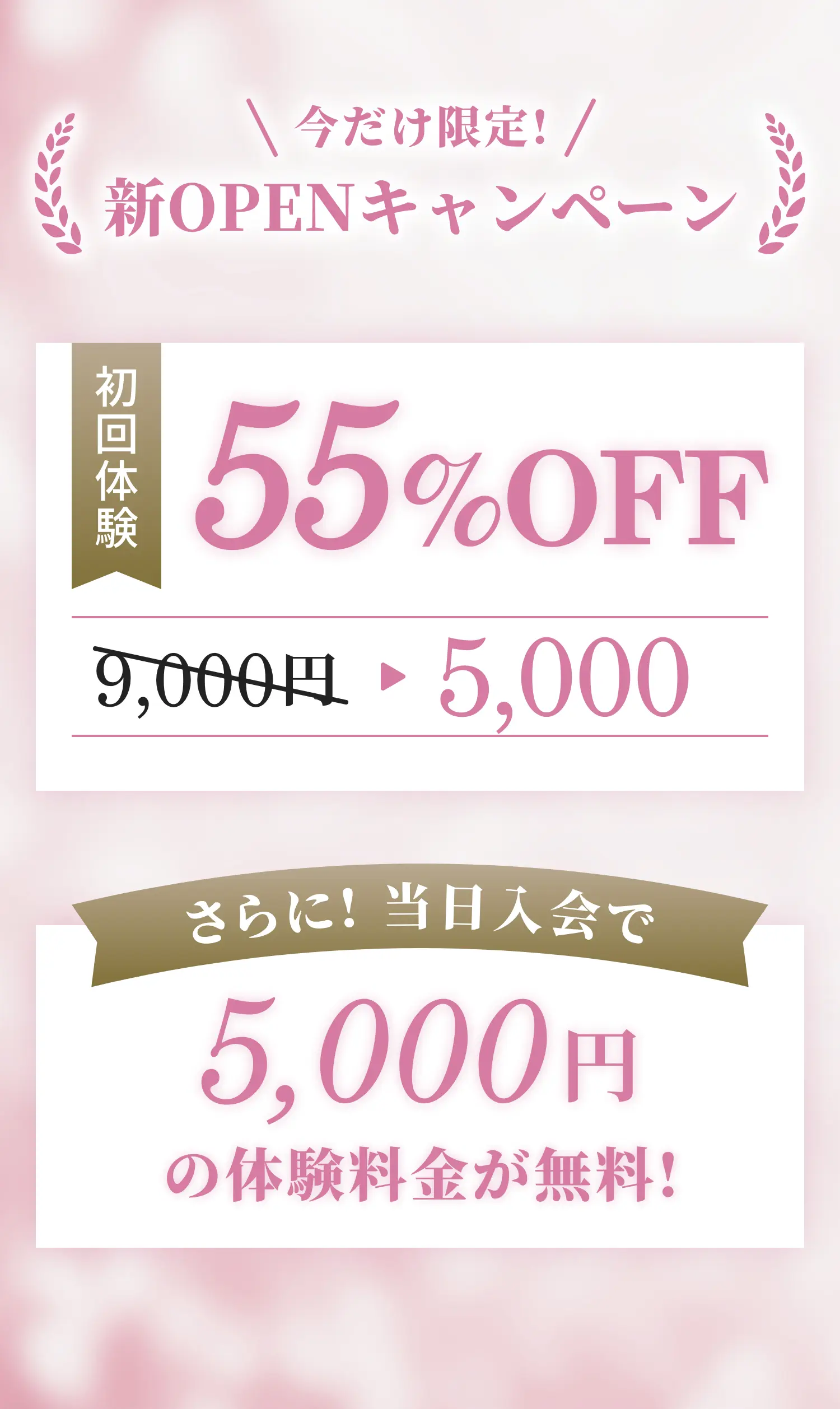 今だけ限定! 新OPENキャンペーン 初回体験は9000円の55%offで5000円 さらに当日入会で5000円の体験料金が無料!
